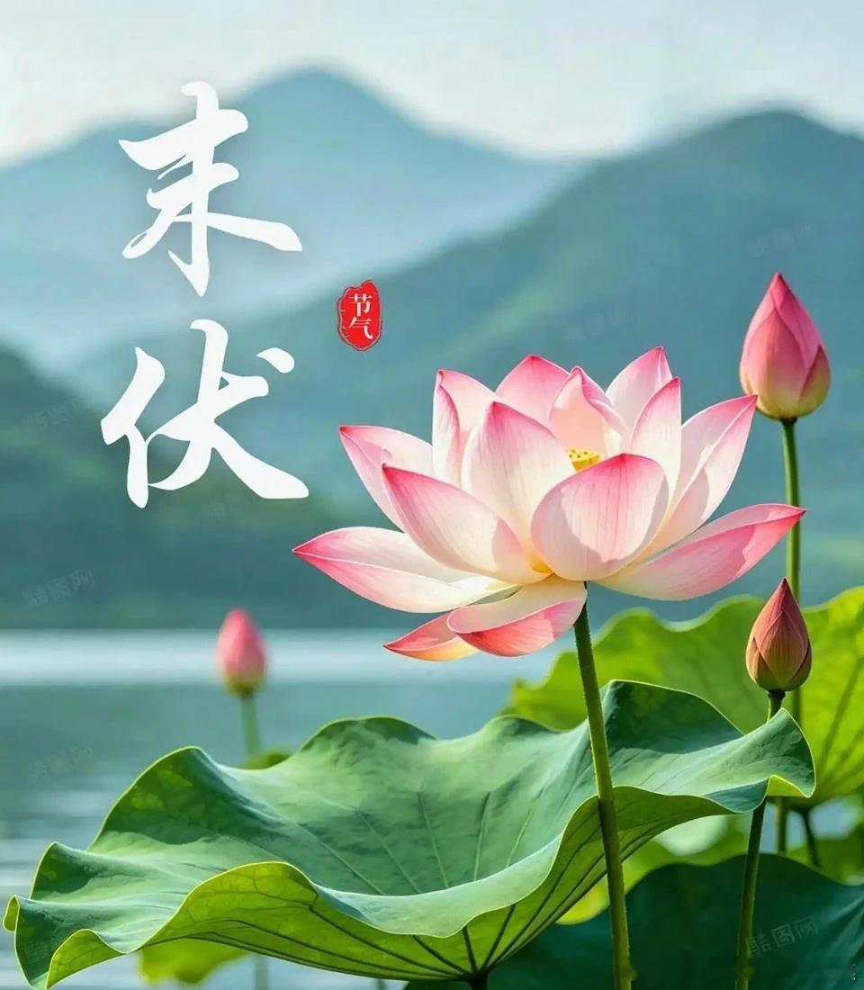 中年了，开始慢慢接受自己的平庸一段非常喜欢的话：“水之所以清澈，并不是因为它不含