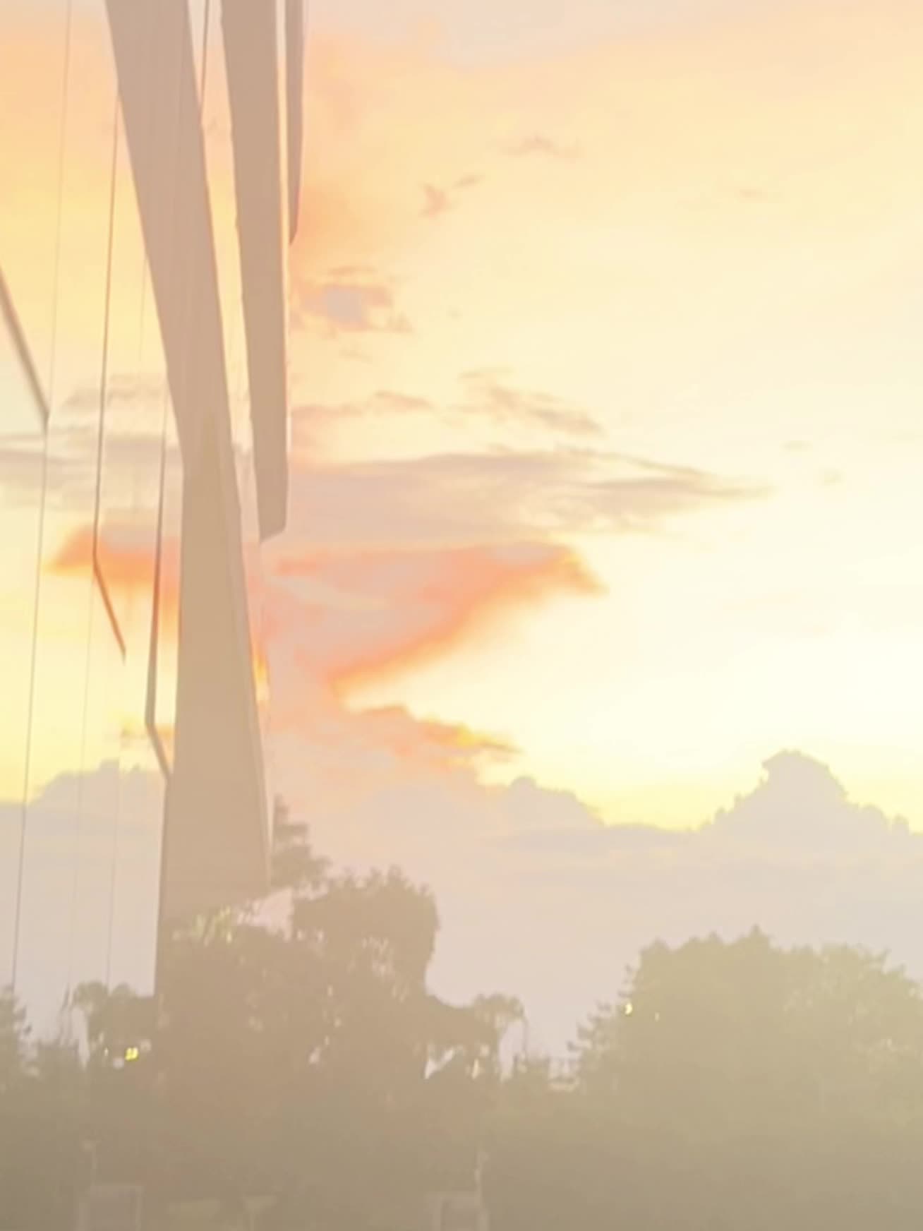 我抬头看见晚霞