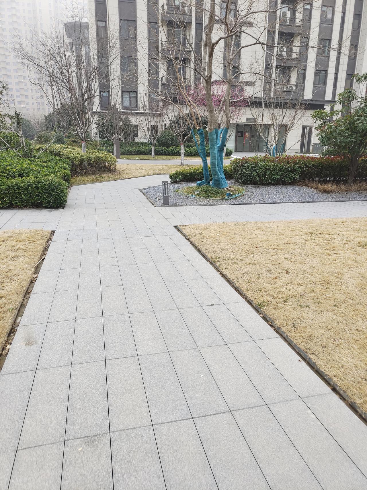 我家自来水特别小，接一壶水都好久，所以我们家也打井配抽水机，有水泵，打开水龙头就