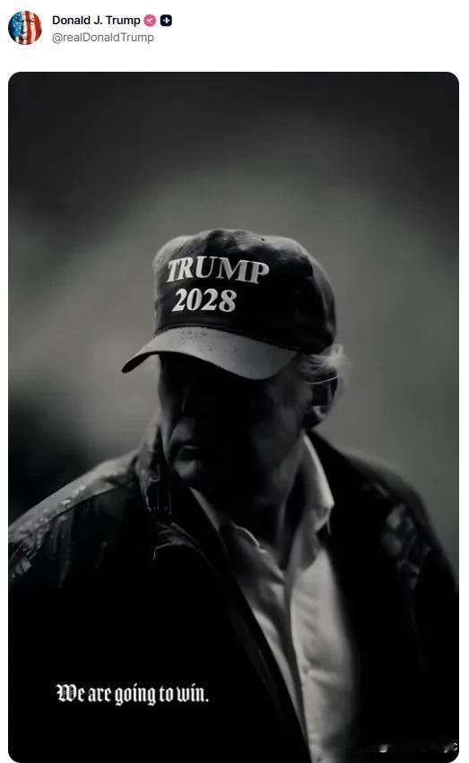 当地时间8月15日，特朗普发布了一张暗影映衬下的图片，头戴印有“TRUMP 20