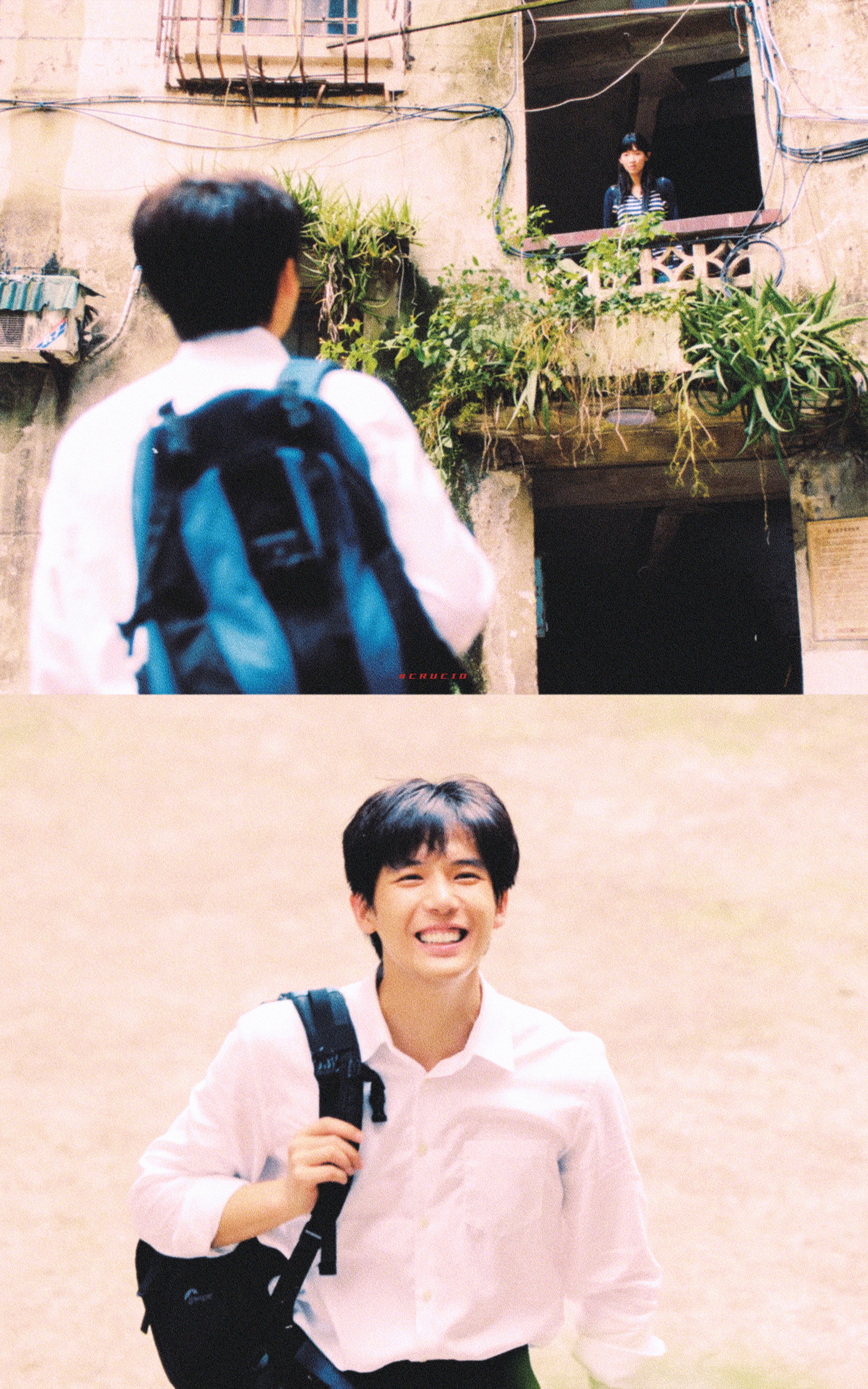 《值得爱》 在我眼前缓缓凋落的爱情🥀 ​​​