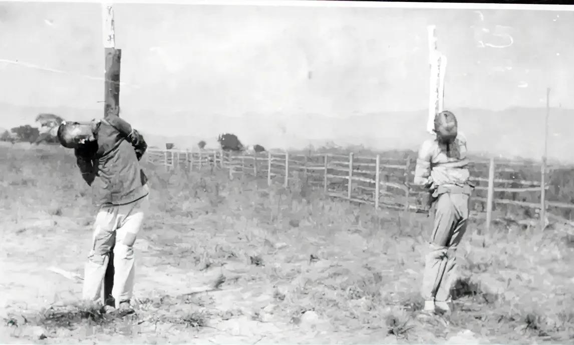 1915年的福州郊外，几名犯人遭受了惨无人道的私刑处决，照片中他们被绑在一根木柱