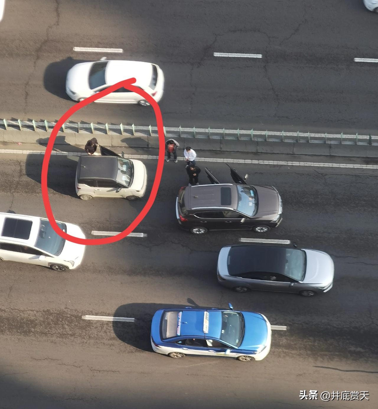 小家伙闯祸了。小，难免毛手毛脚，长大了就会稳重一些。对吧。（4月1日清晨）车祸