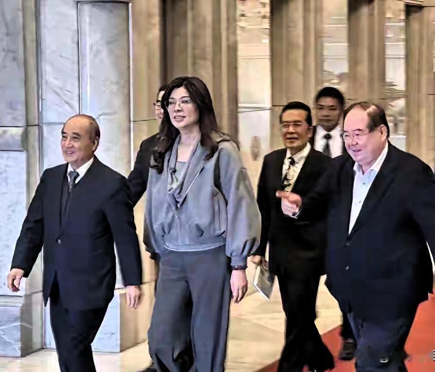 八小时定乾坤！郑丽文霸气拿回56亿，中天复台终结绿营垄断
 
前言
 
2026