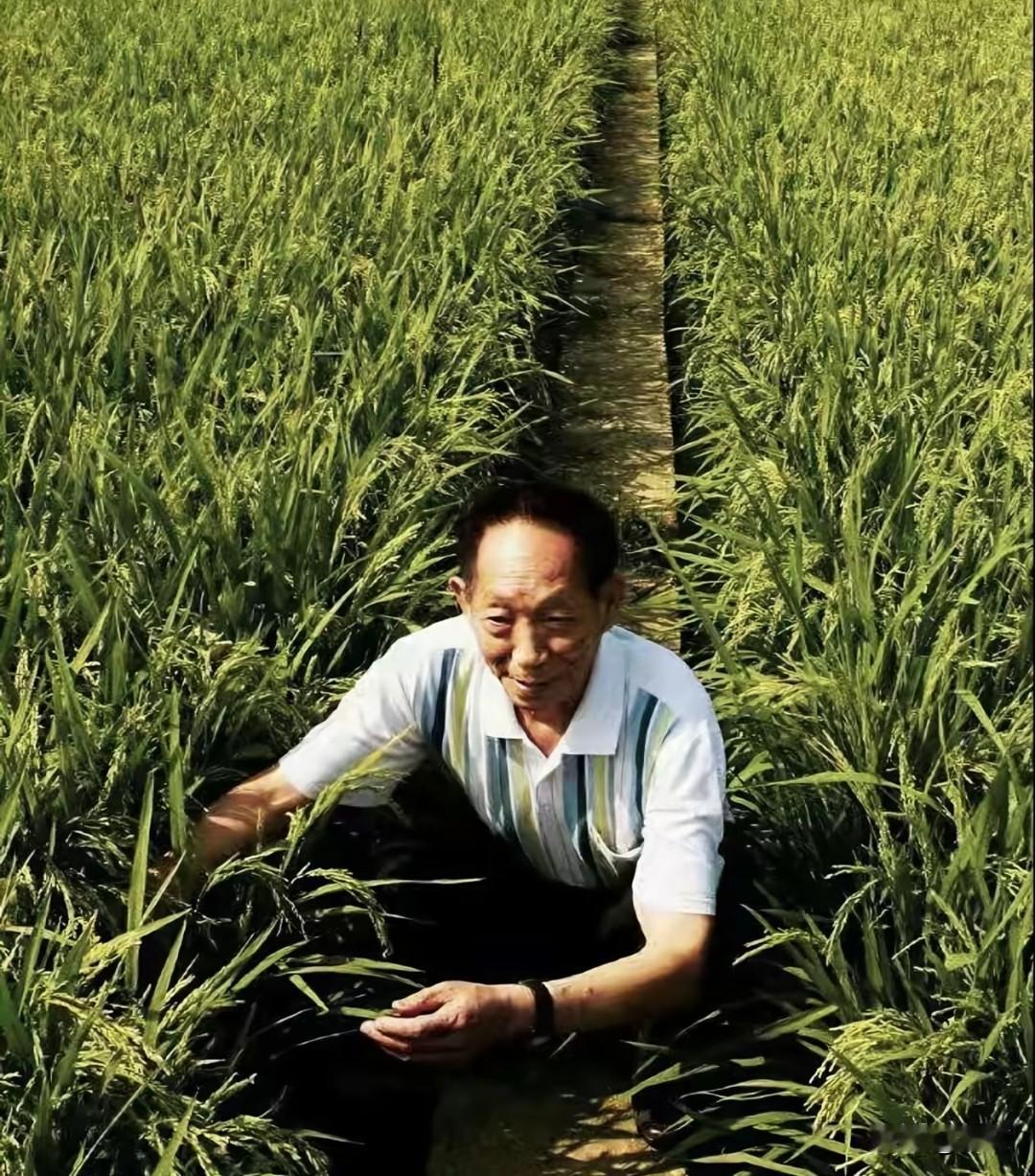 我的个老天爷耶，竟然真的有人不知道
刚刷到个帖子，问90后有没有不知道袁隆平的，