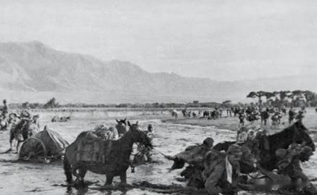 抗战胜利后，七万多匹日本军马成了烫手山芋！这些东洋马可不是普通牲口，当年小鬼子为