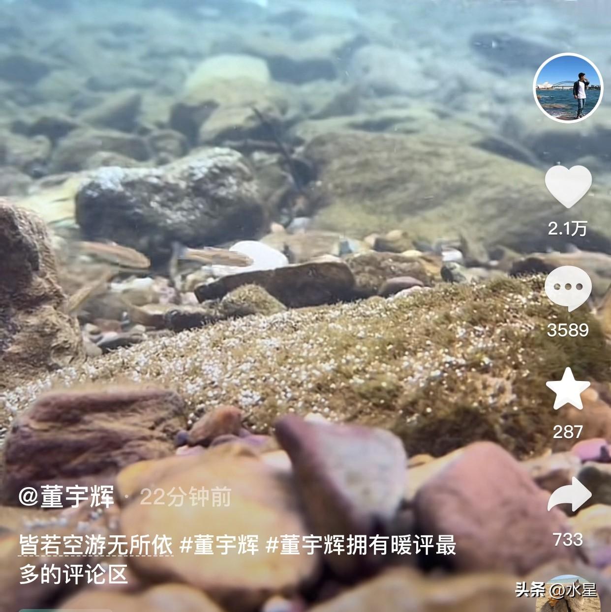 董宇辉又发低质量作品了[偷笑]
在陕西看小鱼儿游啊游
人虽然没出镜，但在评论区非