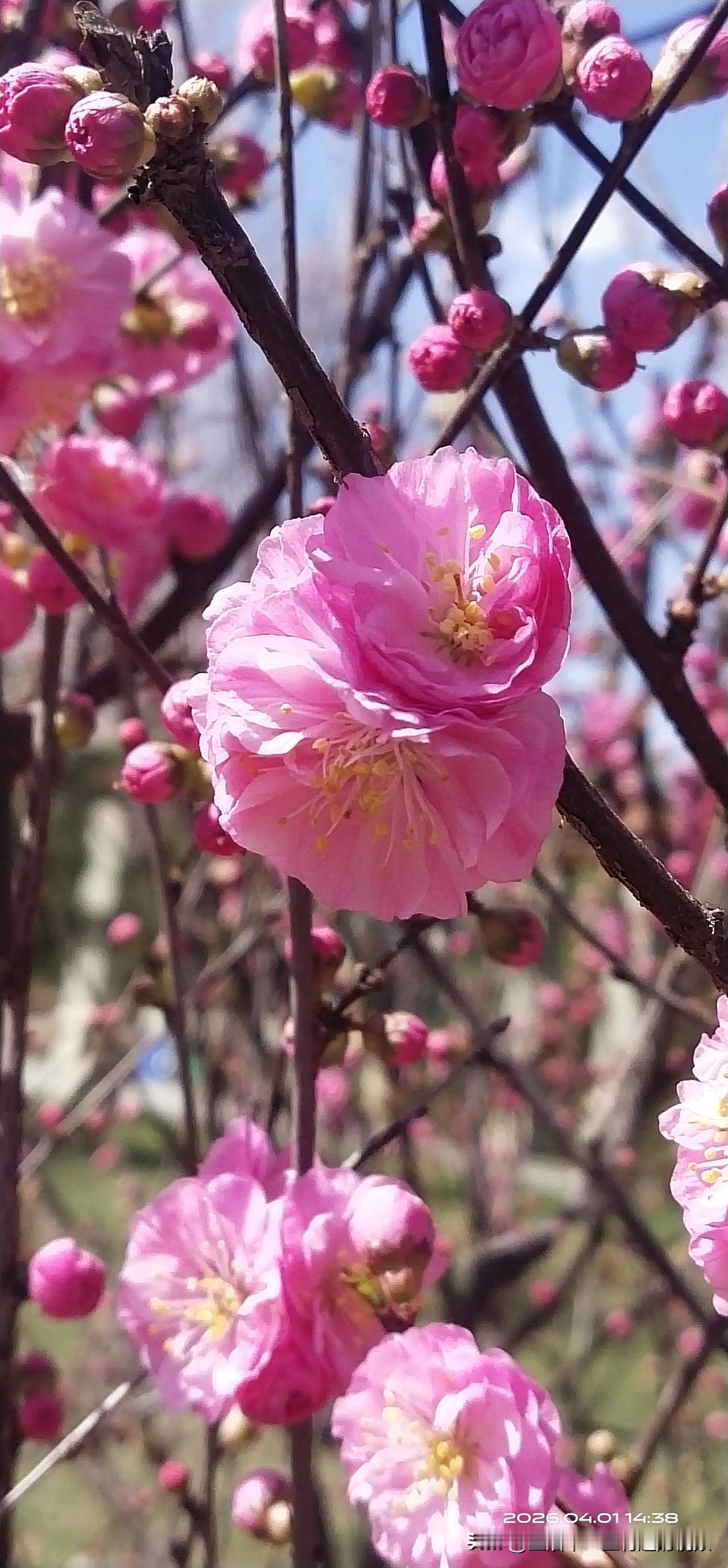 今天跟几个朋友出去拍照打卡了，记录生活中的美好时光，以这样的方式留着美好的事物，