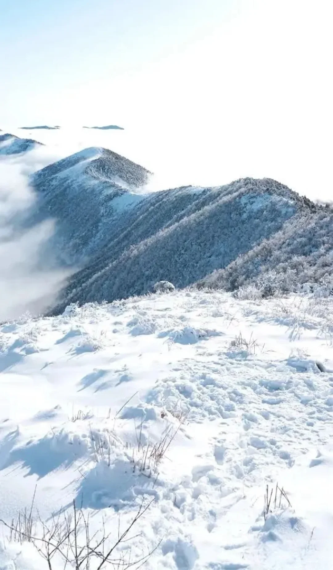 上海出发被问爆的赏雪圣地 太子尖真的美哭