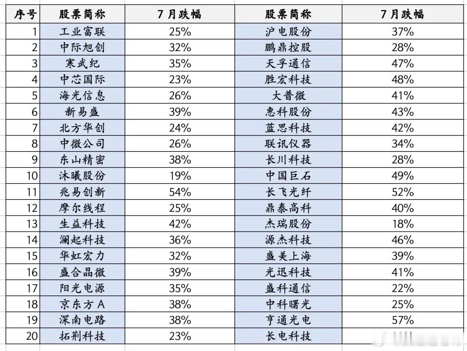 最近砸盘最狠的就是公募基金持仓最多的几个权重，今天中际旭创，寒武纪暴跌9%，新易