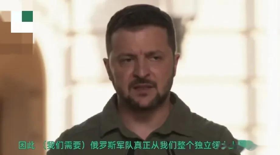 硬气加霸气！泽连斯基当面驳回了南非总统拉马福萨的“议和”提议？

16日，南非总