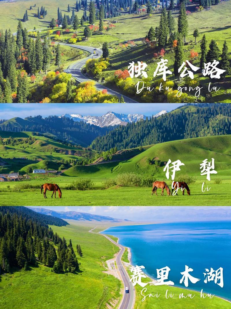 在前往新疆旅行时，只有做到未雨绸缪，提前做好应对各种状况的准备，才能更好地欣赏这