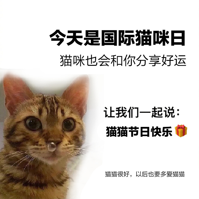 国际猫咪日祝小猫节日快乐  今天（8月8日）是国际猫咪日，该节日由国际动物基金会