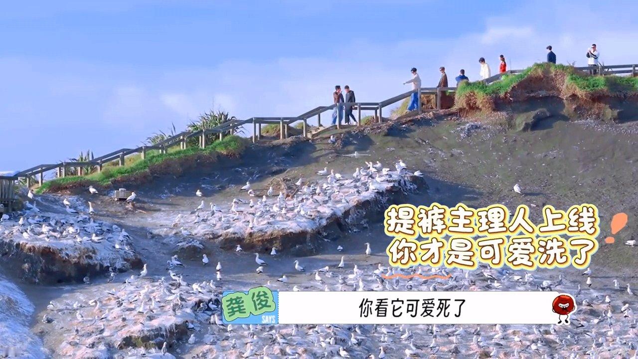 龚俊一直在说婴语龚俊边提裤子边说可爱好想养一只龚俊啊，怎么能这么可爱 