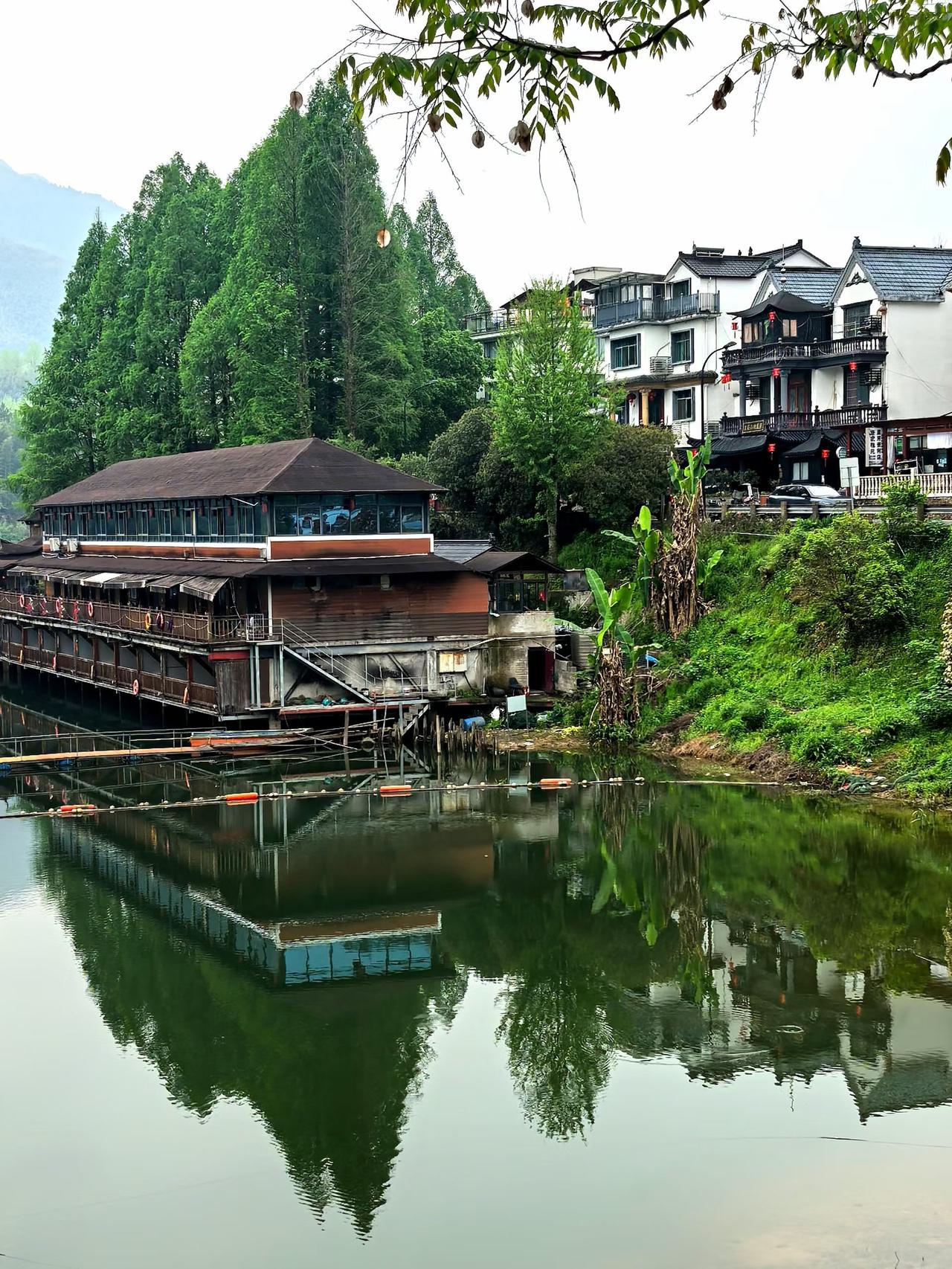 一路随拍
乡村休闲游……