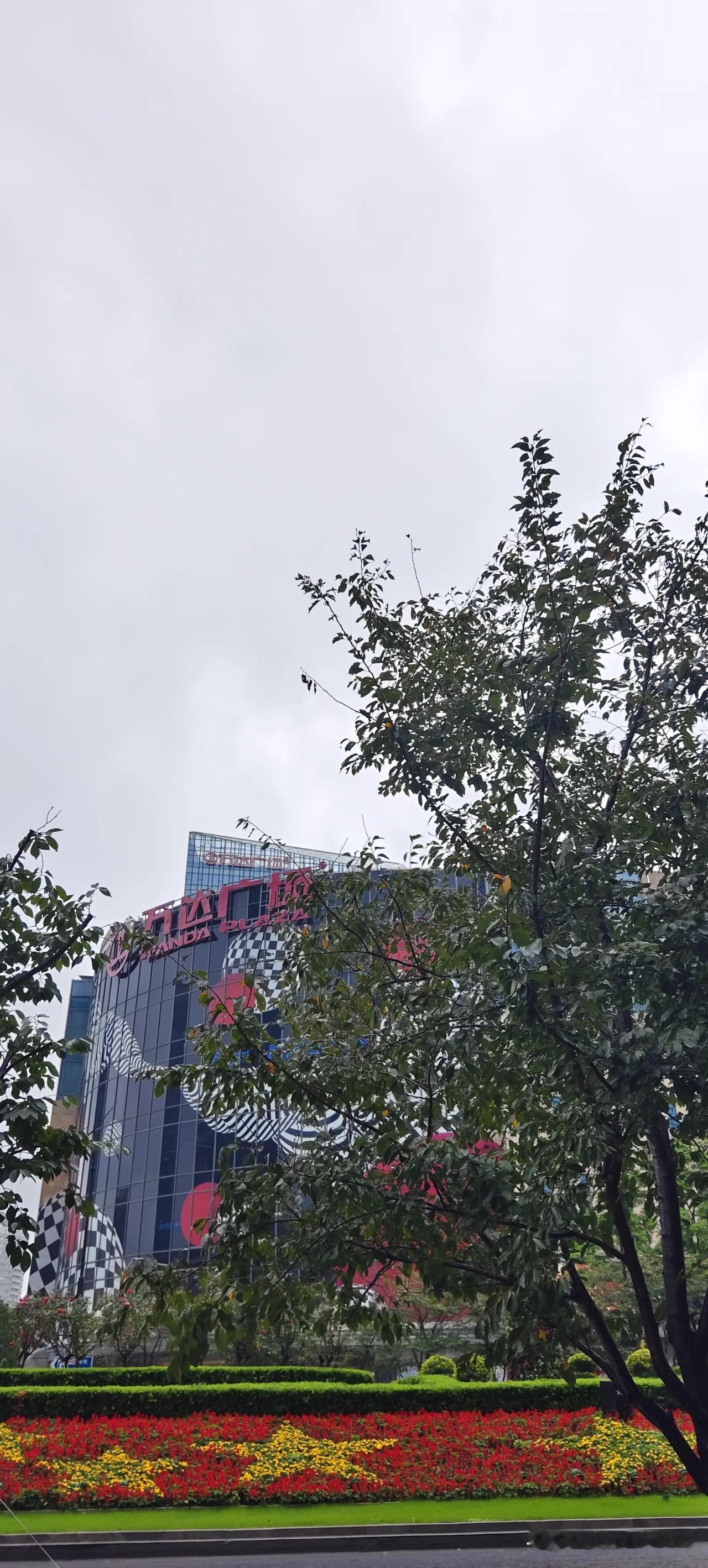 上海今天下了一天的雨。冒雨去办点事情，没想到杨浦区五角场那么繁华，还是第一次去。