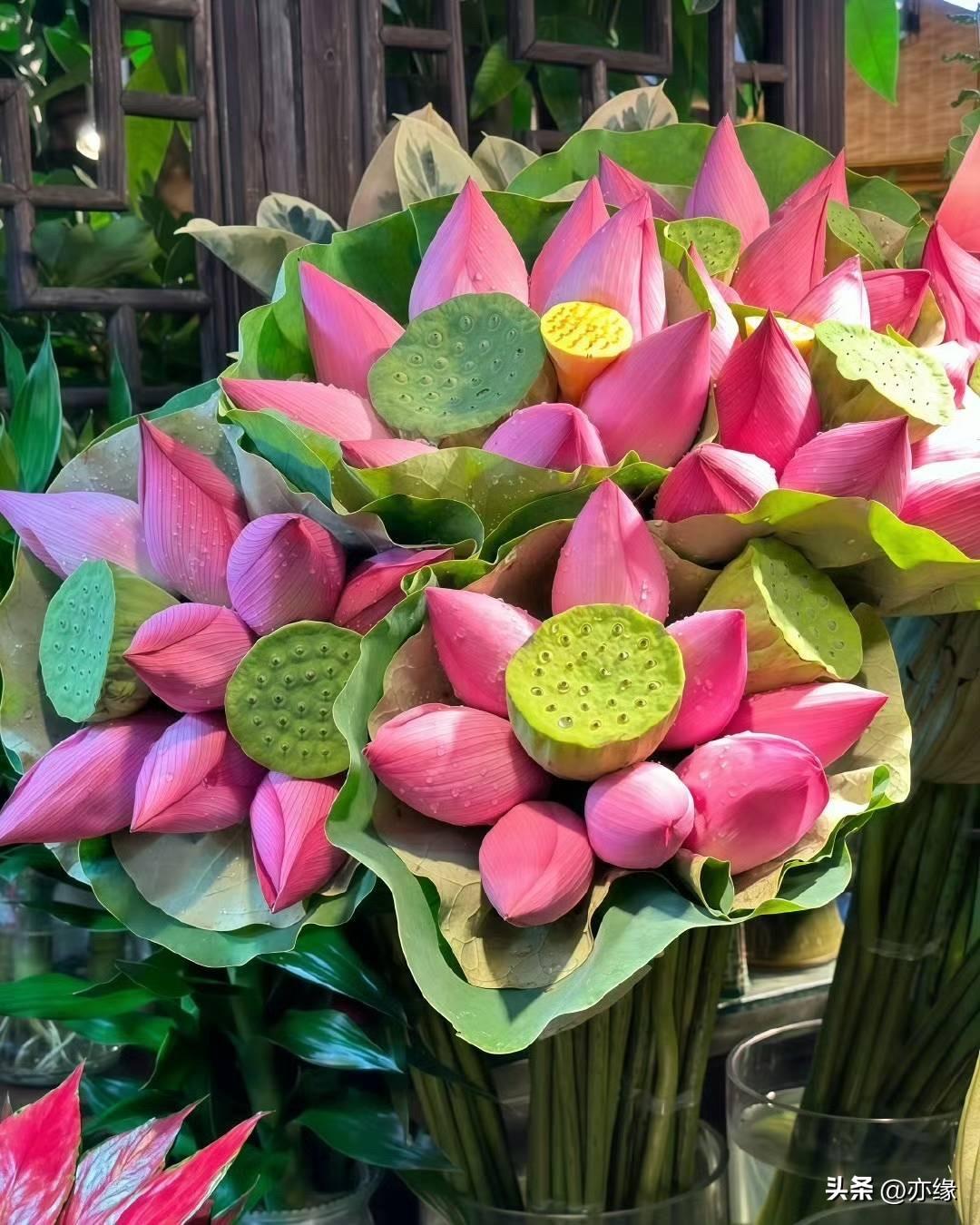 夏日炎炎

祝你

8月好运莲莲 ˗ˏˋ 🪷 ˎˊ˗