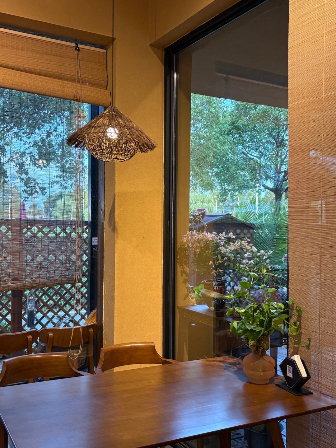 星期三和芝芝约会我的照片会发光我真是太美了  ​​​