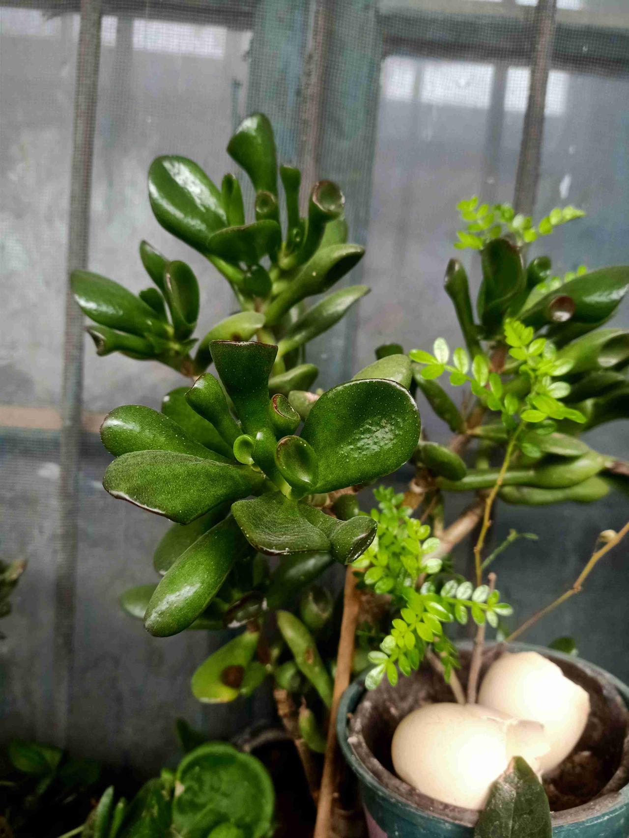 我的今日状态：💪🏻充满干劲
我这里的天气：🍂微风