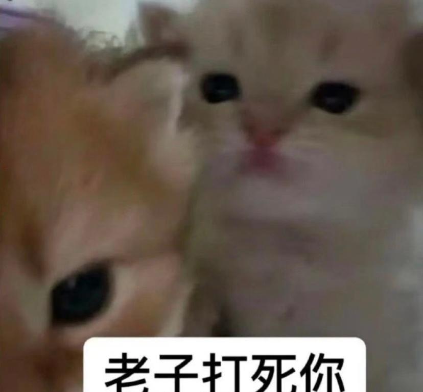 本来就是他们当家长的问题啊，关人家奶茶什么事