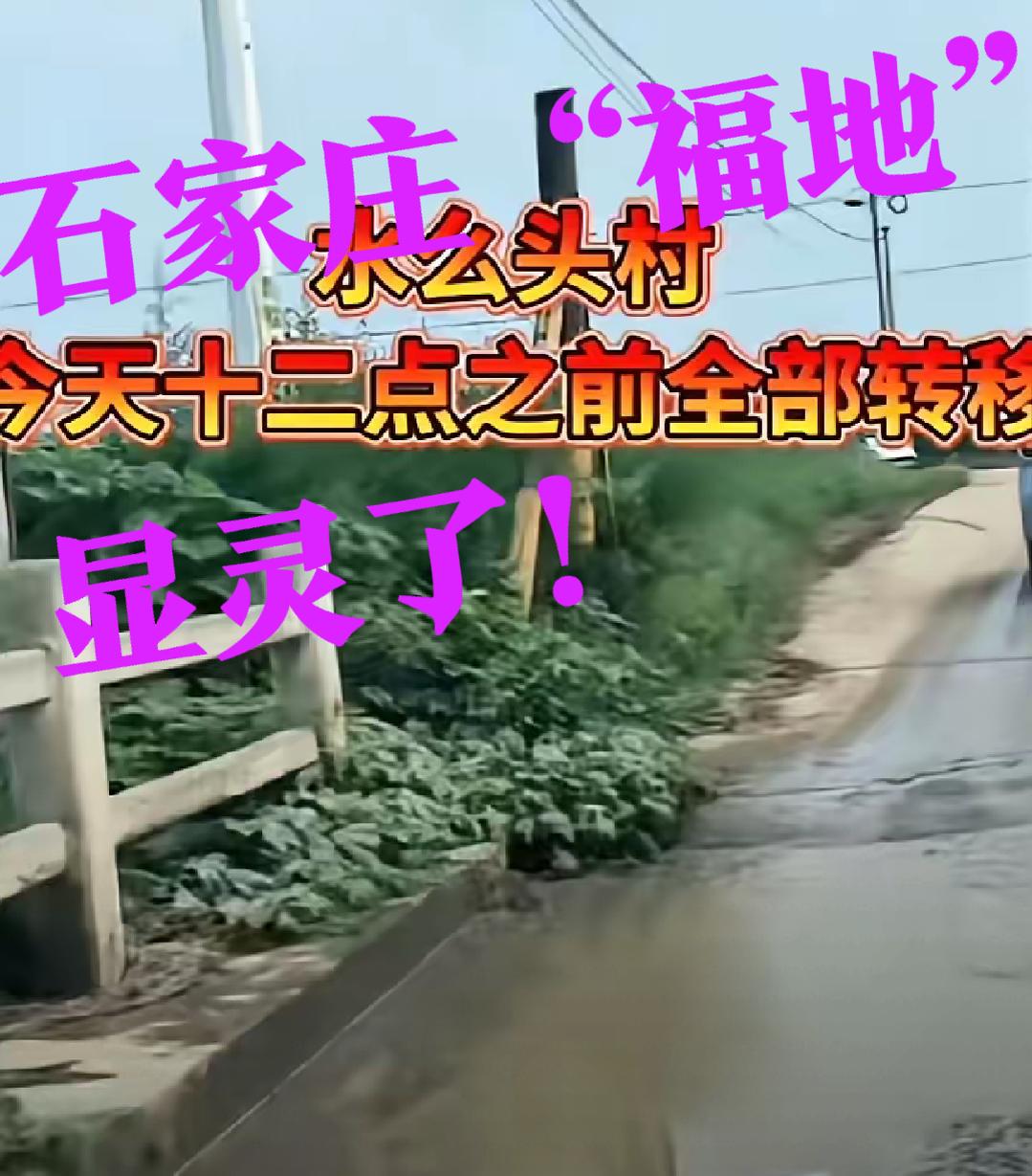 【石家庄真是“福地”，】石家庄这回真是“福地”显灵了，说好的台风“白海豚”愣是没