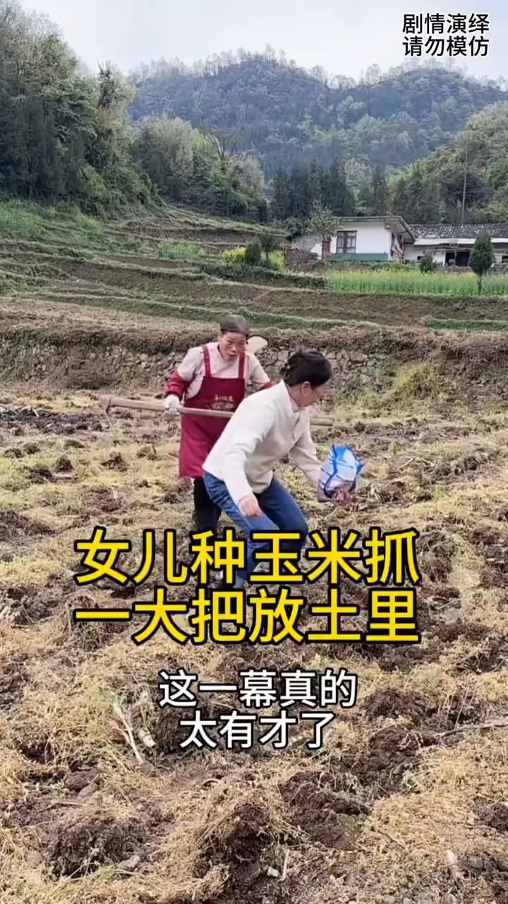 女儿种玉米抓一大把放土里，这一幕真的太有才了。
母女两个在地干农活，这时女儿拿着
