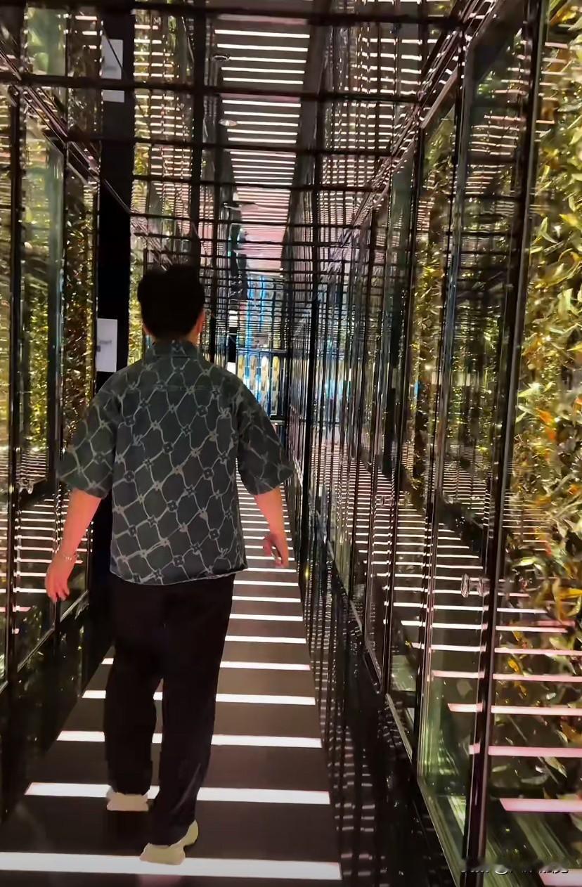早上，美食博主刘雨鑫来到香港102层的高档餐厅喝早茶，服务员说：茶位费一位398