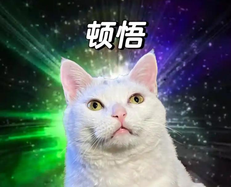 原来老祖宗才是最懂午睡的 真的被古人的生活智慧惊艳到了！谁能想到古画里双腿垫高的