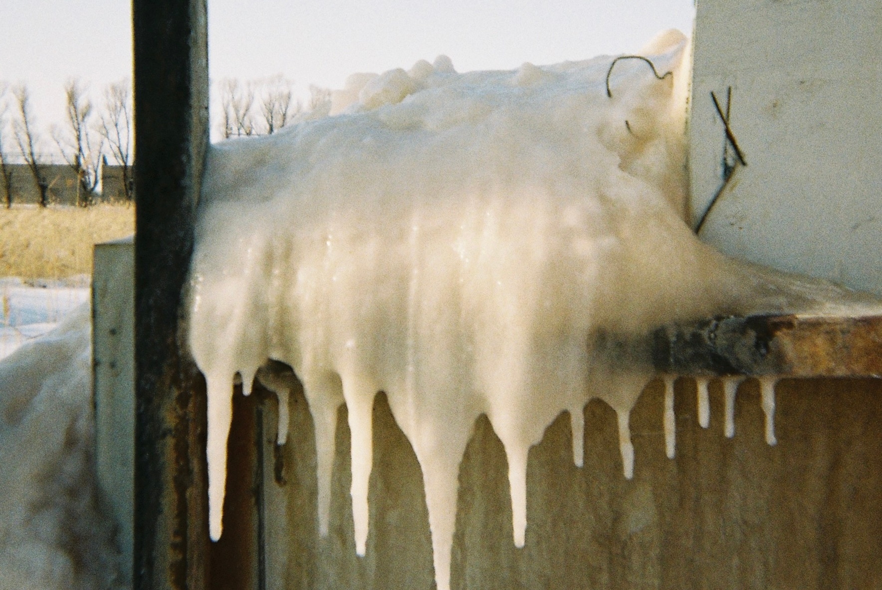 像孩子一样去拍照🎞️谢谢环行地让我在冬天留下胶片记忆 