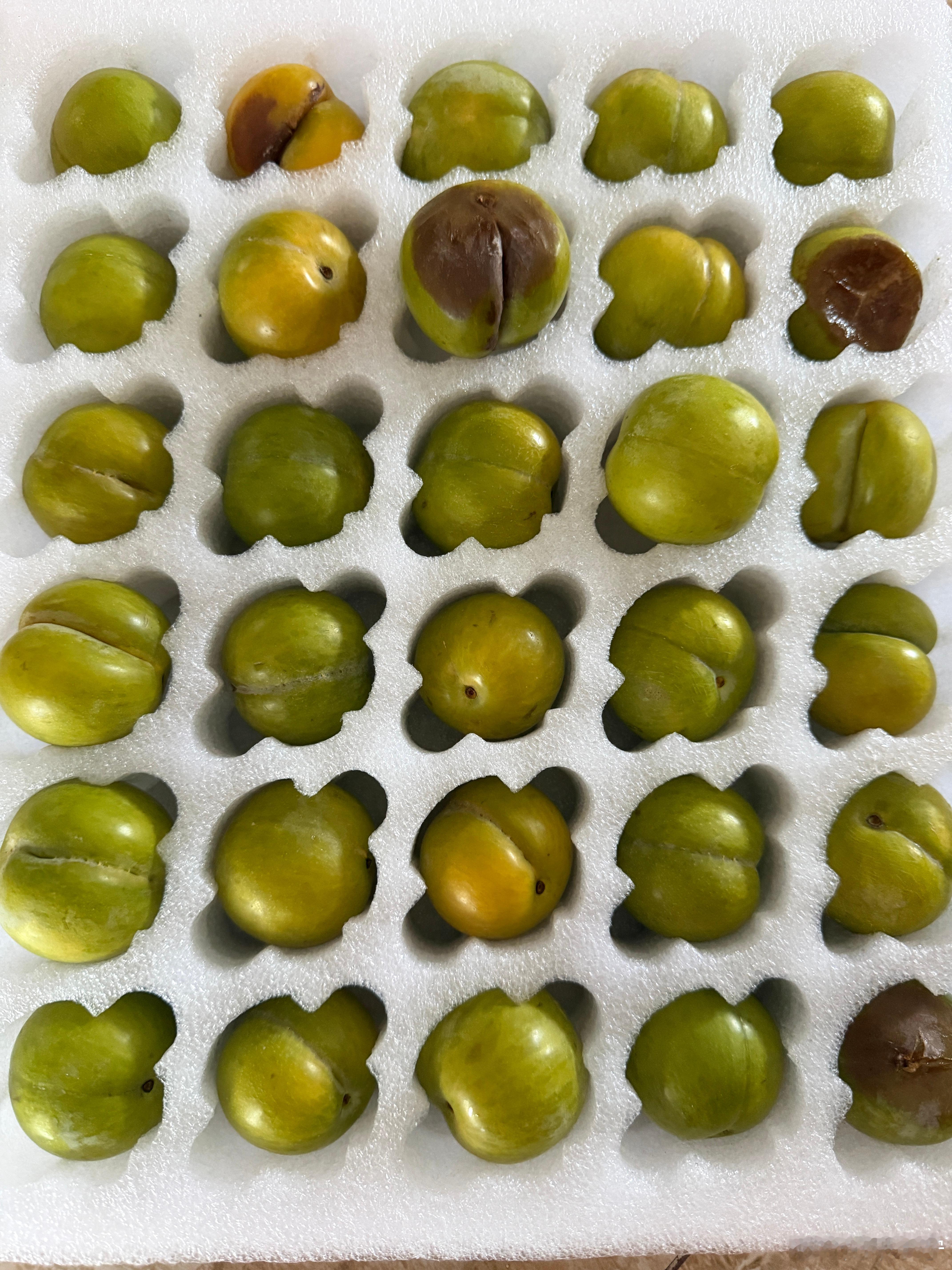 我的蜂糖李网购踩坑之旅。世界杯美食搭子世界杯大v说 蜂糖李直播AB 偶然在朋友家