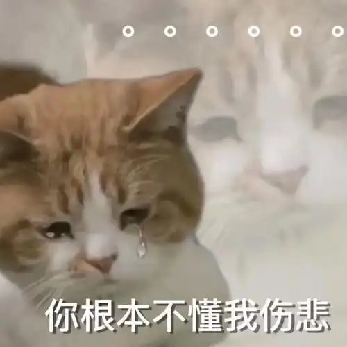 克罗地亚出局后崩溃整场四个进球被吹也是没谁了，最后这个读秒越位更是绝杀级别的判罚