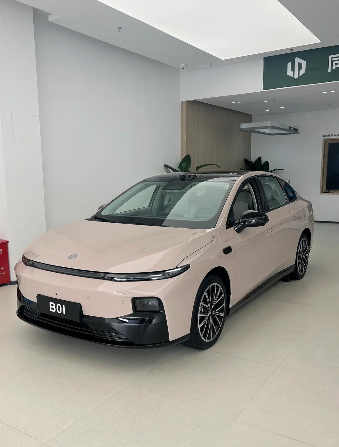 B01和海豹06ev怎么选
最近打算换台纯电轿车，预算12万左右，主要是我上班通