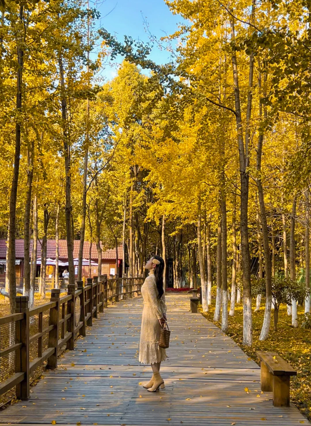 🍁已经开始期待南昌的秋天了…