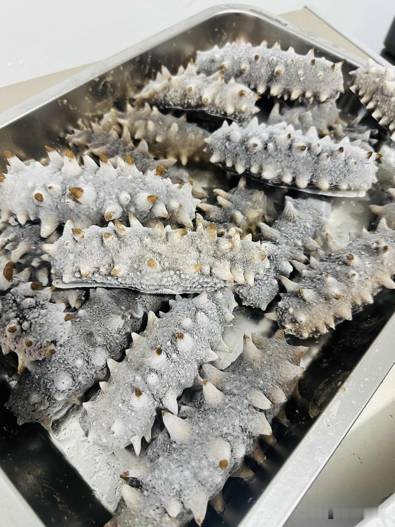 昨晚上干到了下半夜。
俺伙计今年光海参钱就压了500个左右，还不算其他的。
两口