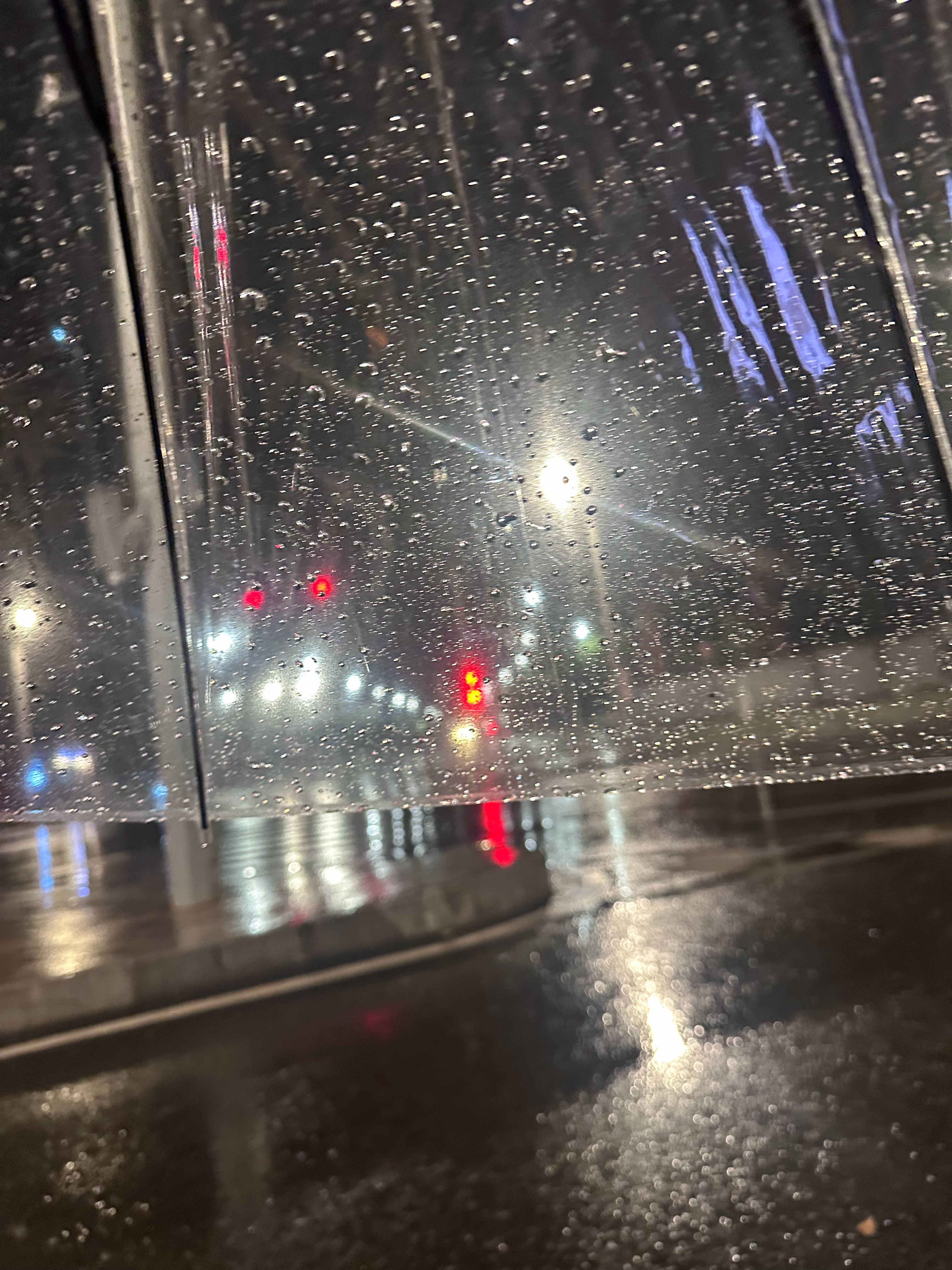 空气好舒服呀，出门散步中…很喜欢这种氛围 重庆·重庆中央公园