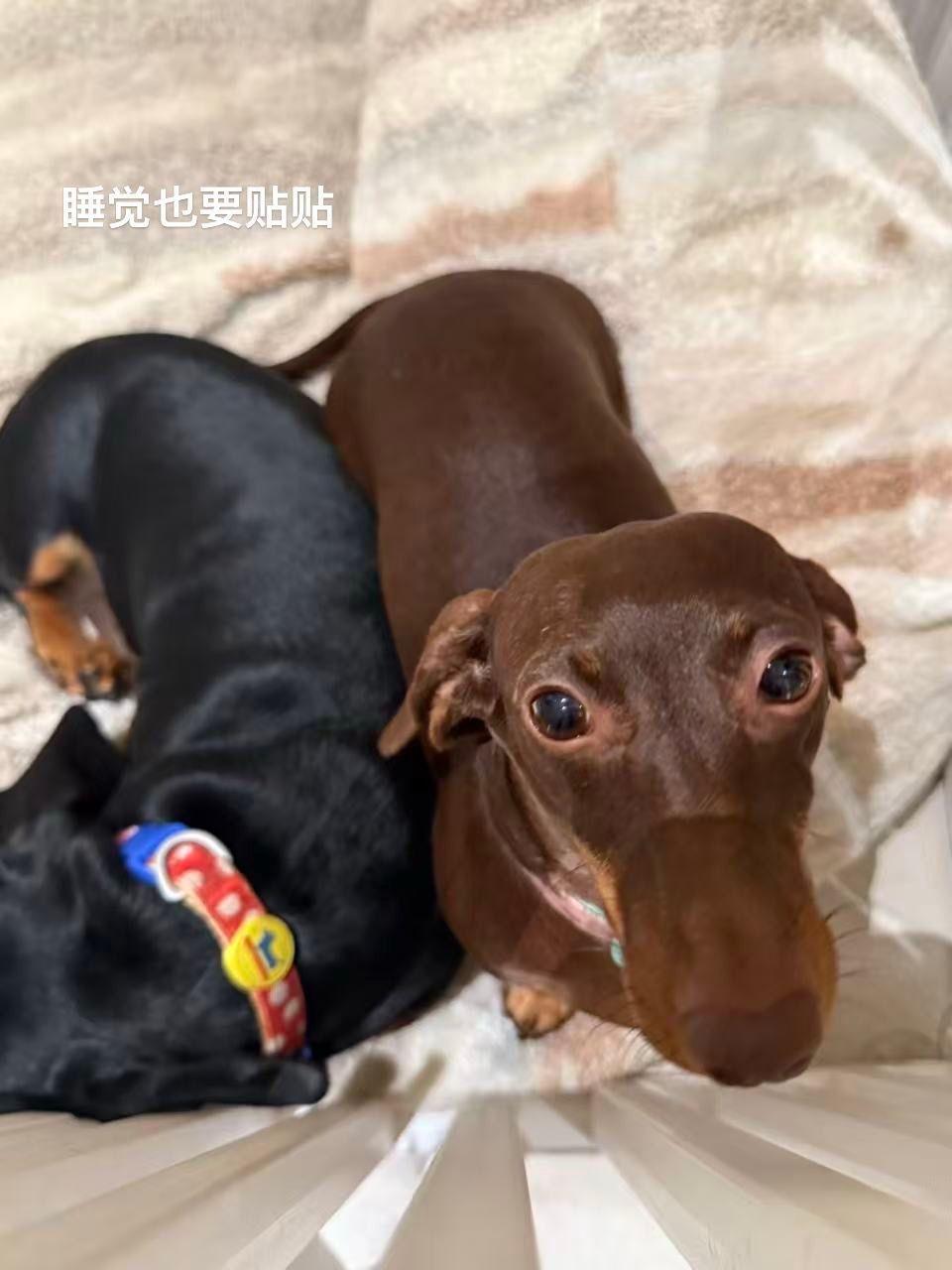 抬头一看就骑走，世世代代好朋友