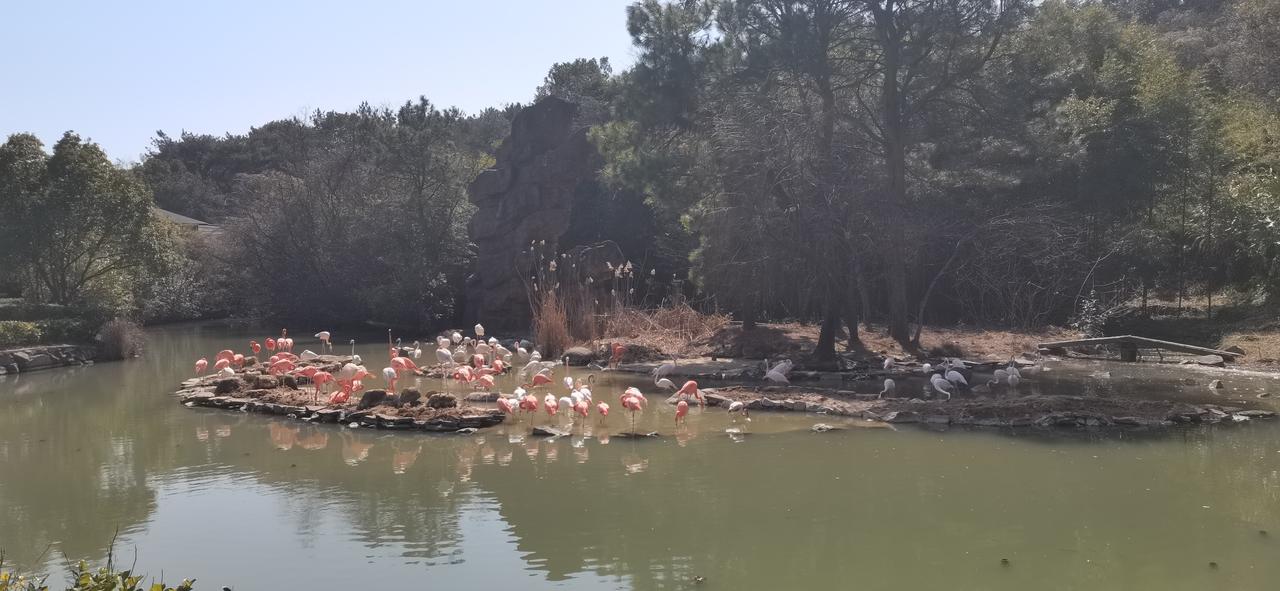 宁波野生动物园成年人门票180元，学生票90元，小朋友免票。说实在的，去看动物园