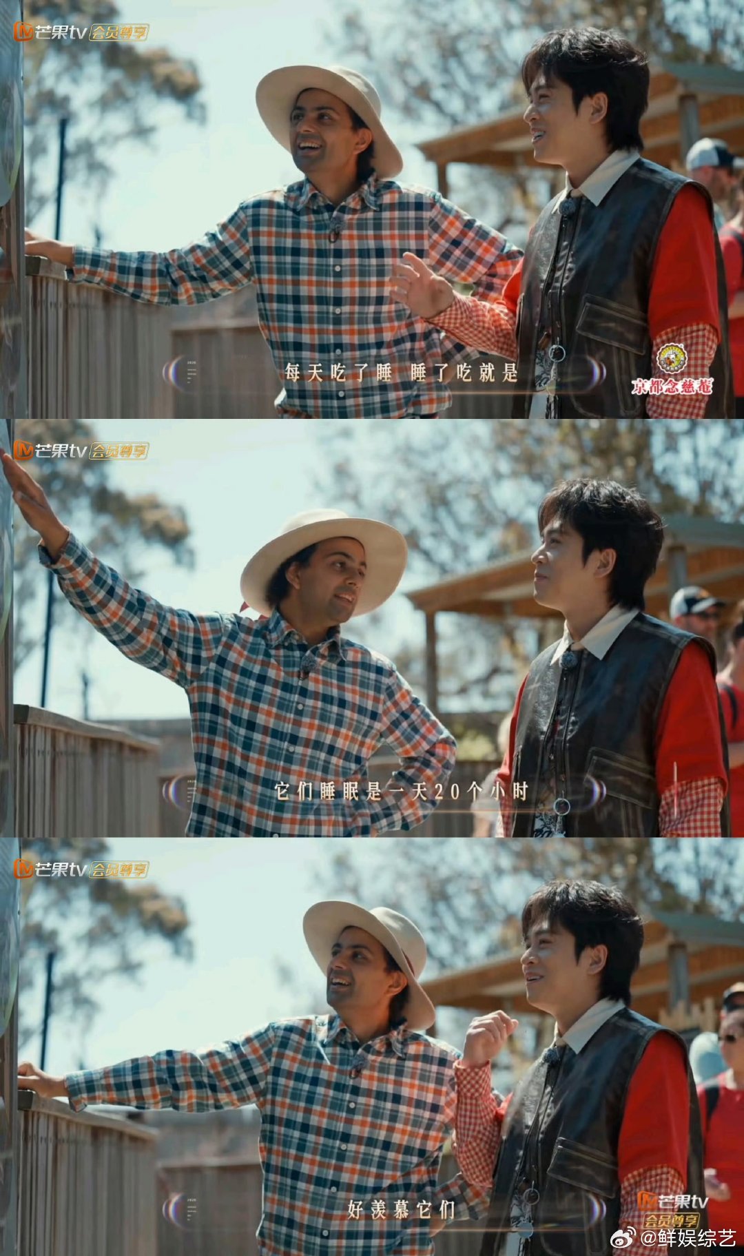 武艺羡慕考拉吃了睡睡了吃 武艺看到考拉的生活状态直接慕了，日睡20小时的吃睡日常