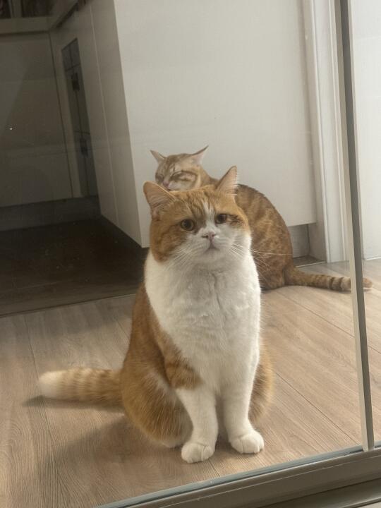 往那一站就是兵