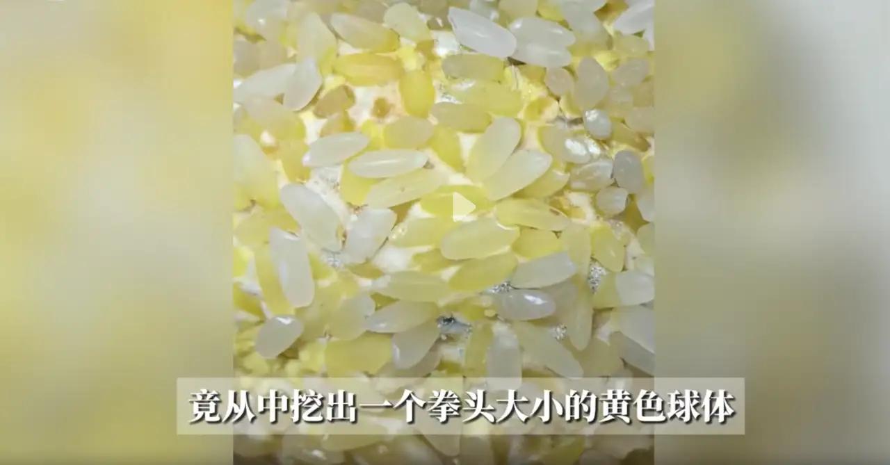 安徽合肥，女子在家中淘米做饭，突然发现米粒里面有几粒黄色的米，开始还纳闷这些米是