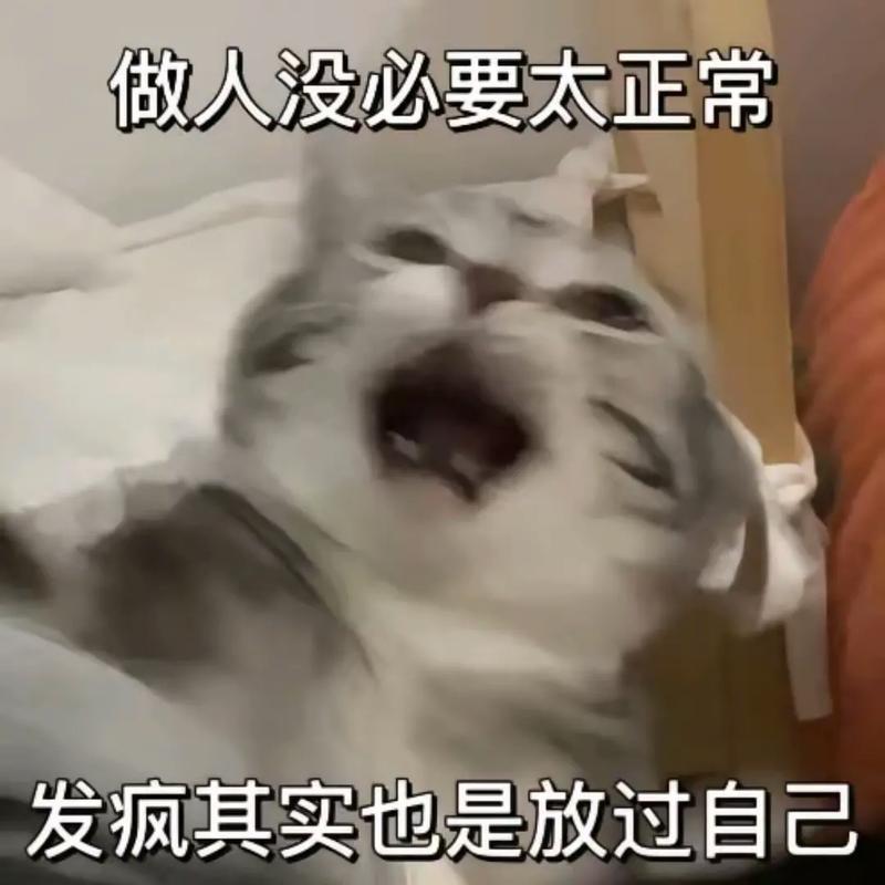 人活着哪有不疯的 ​​​