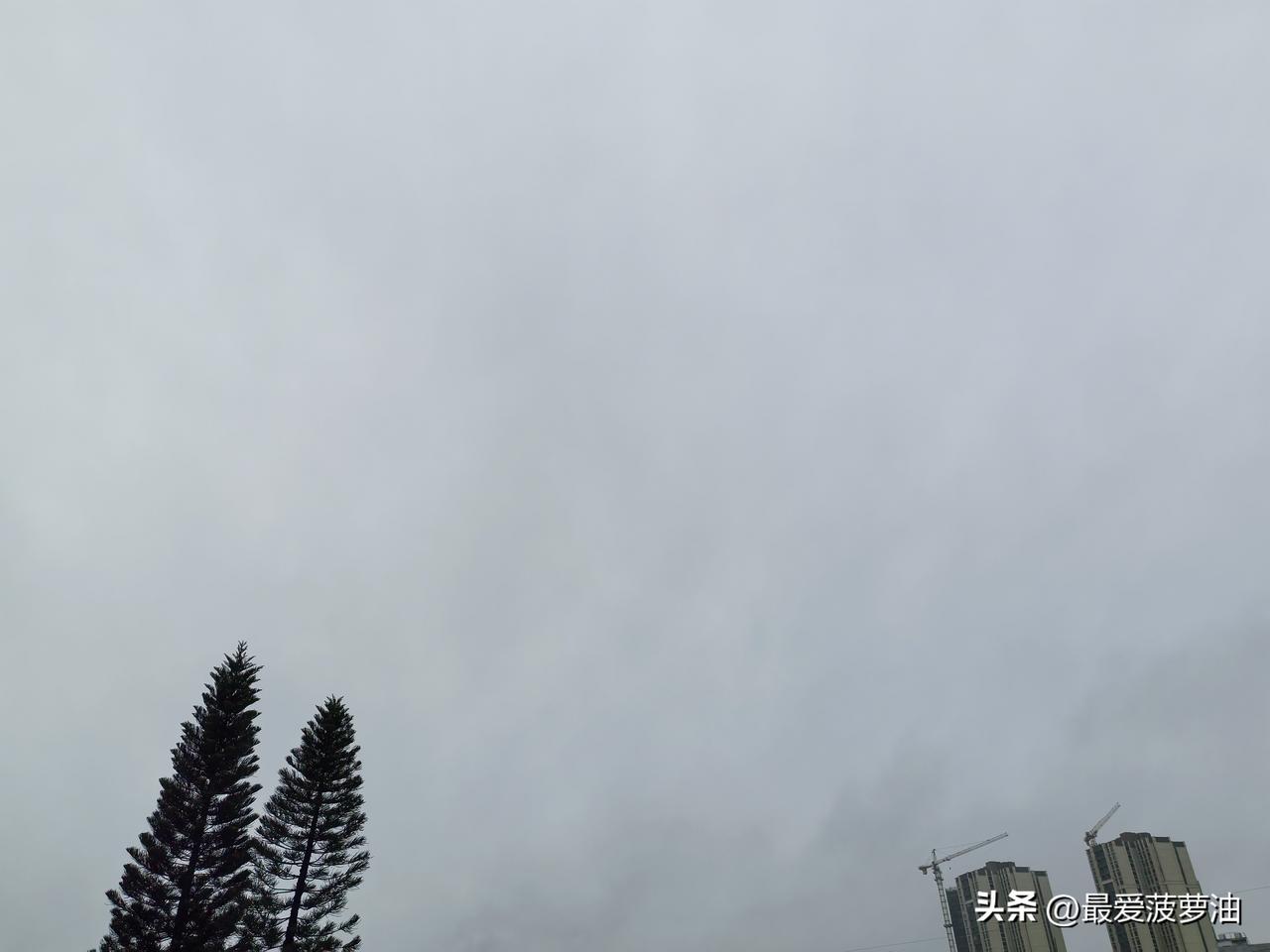 3月初广东的雨水降温接踵来！

今明两天（3月1～2日），广东中北部市县有中到大