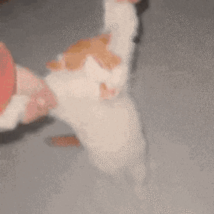 给自己找了个监督自己干活儿的爹，我昨天晚上串水晶串到了凌晨一点 