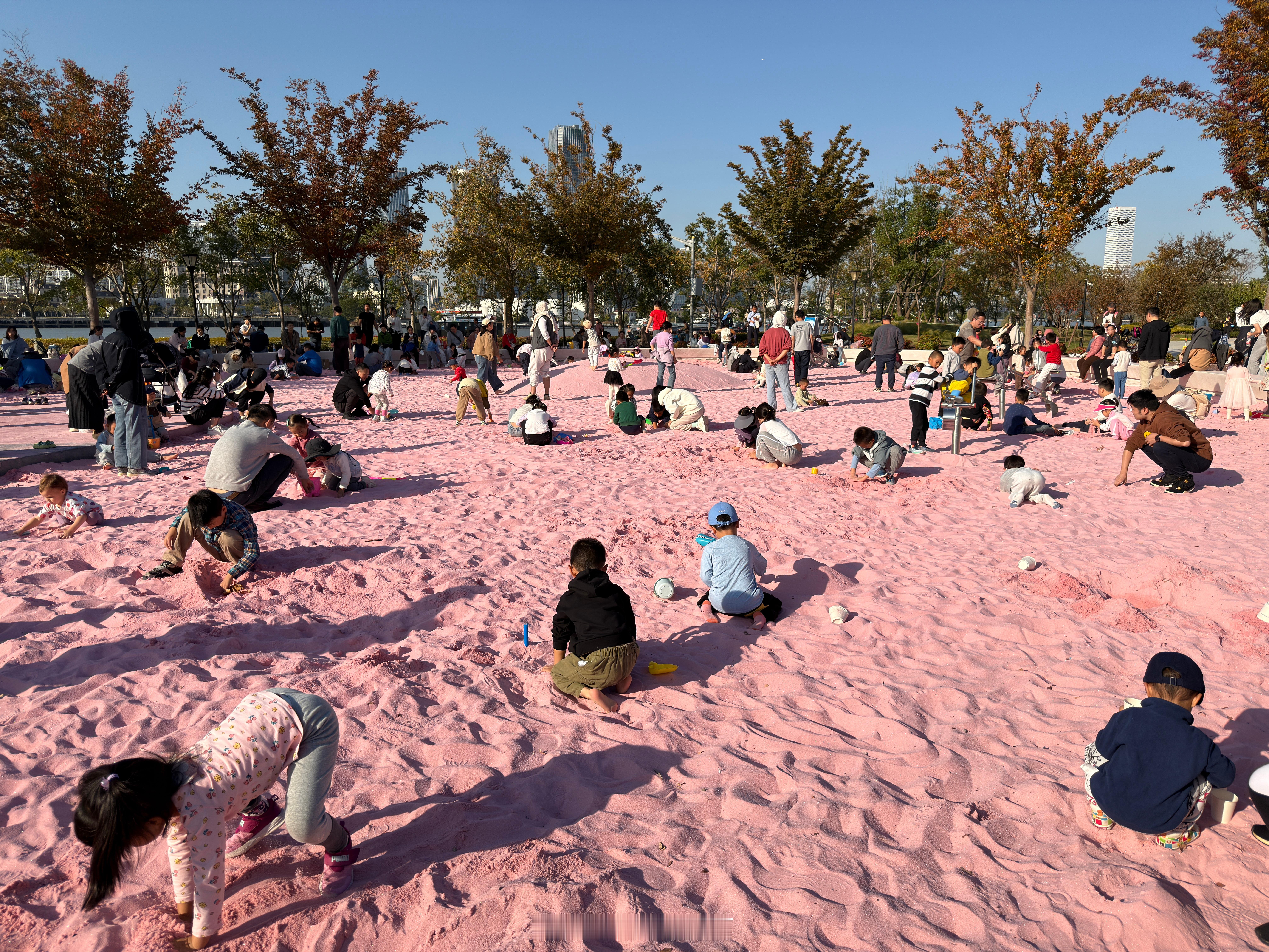 今年秋天的最后一个周末 
