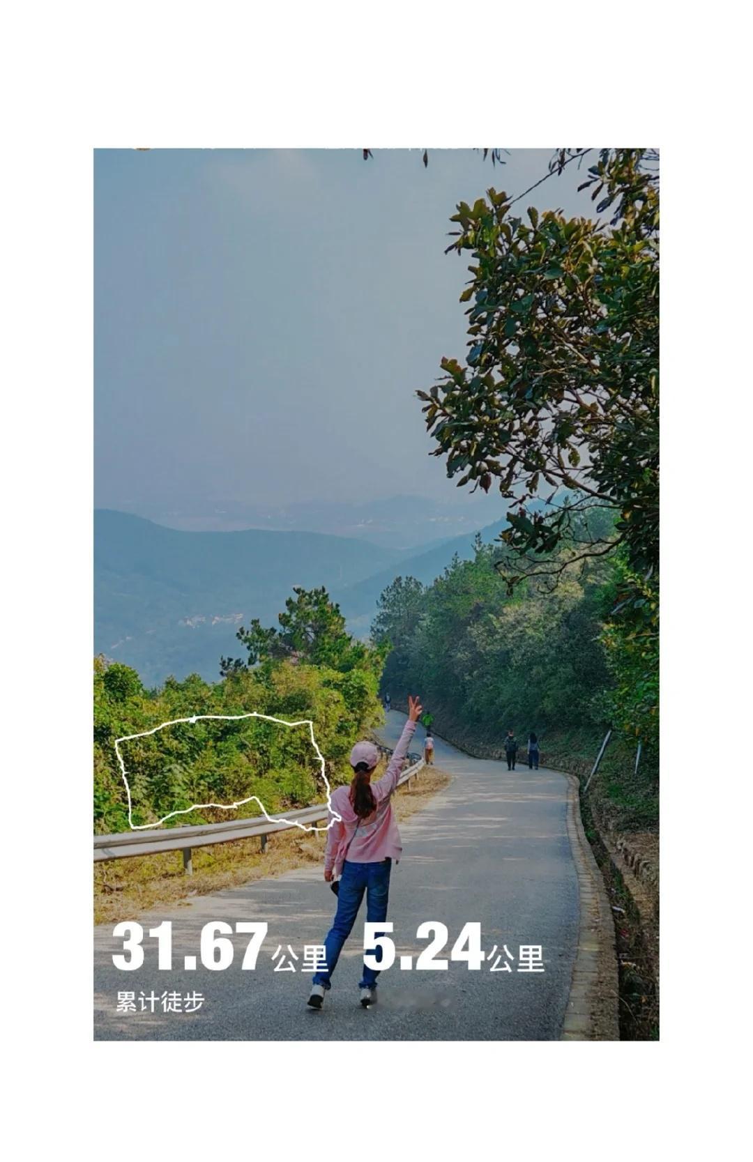 苏州光福窑上村赏桂全攻略 10.27实探
📍坐标：苏州光福窑上村
⏰时间：10