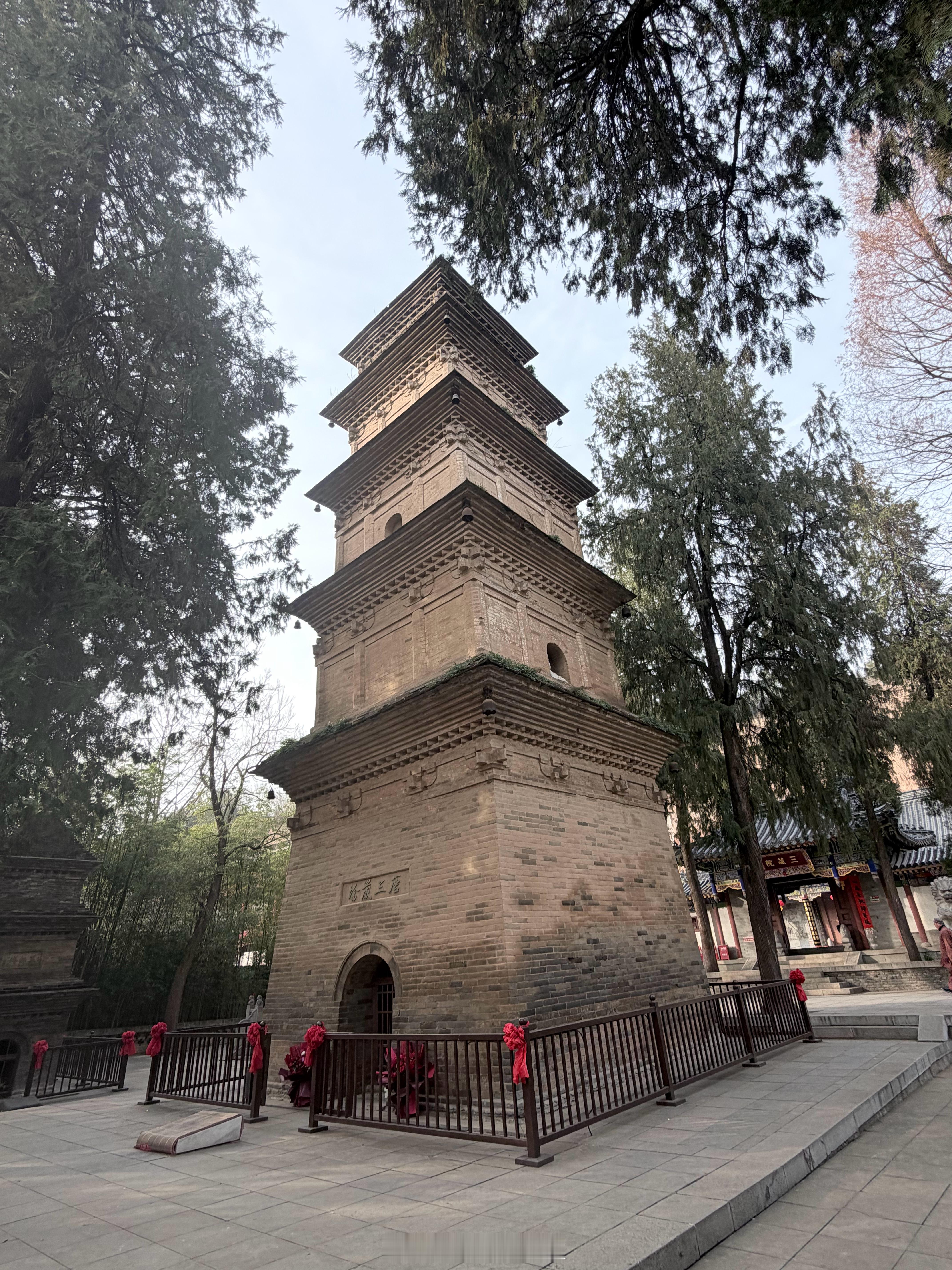 穷生奸计 富长良心去年到今年又狠狠交了一次学费 终于长记性了 
