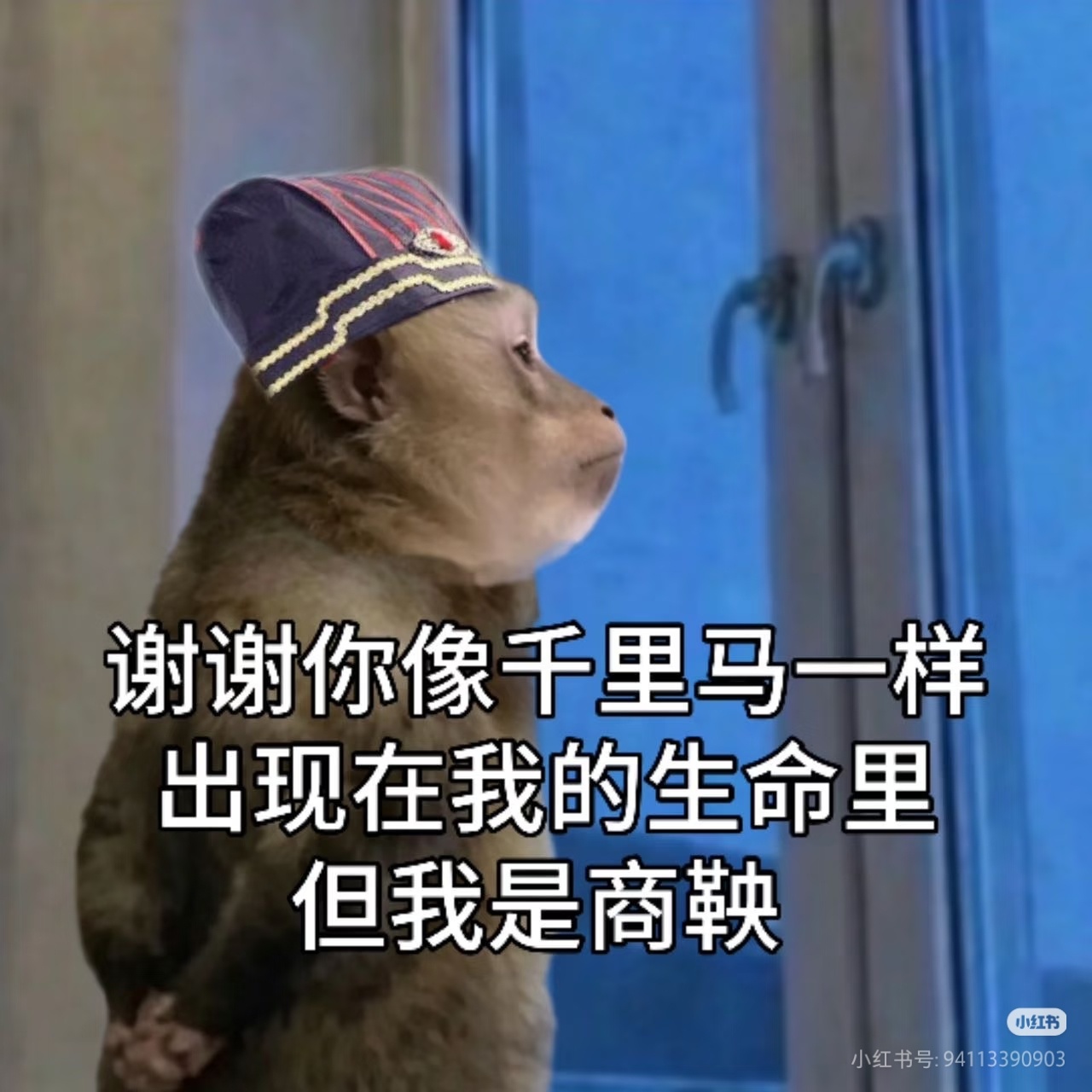 我知道了，大👀是个抖M【大👀下地狱防吞版】 