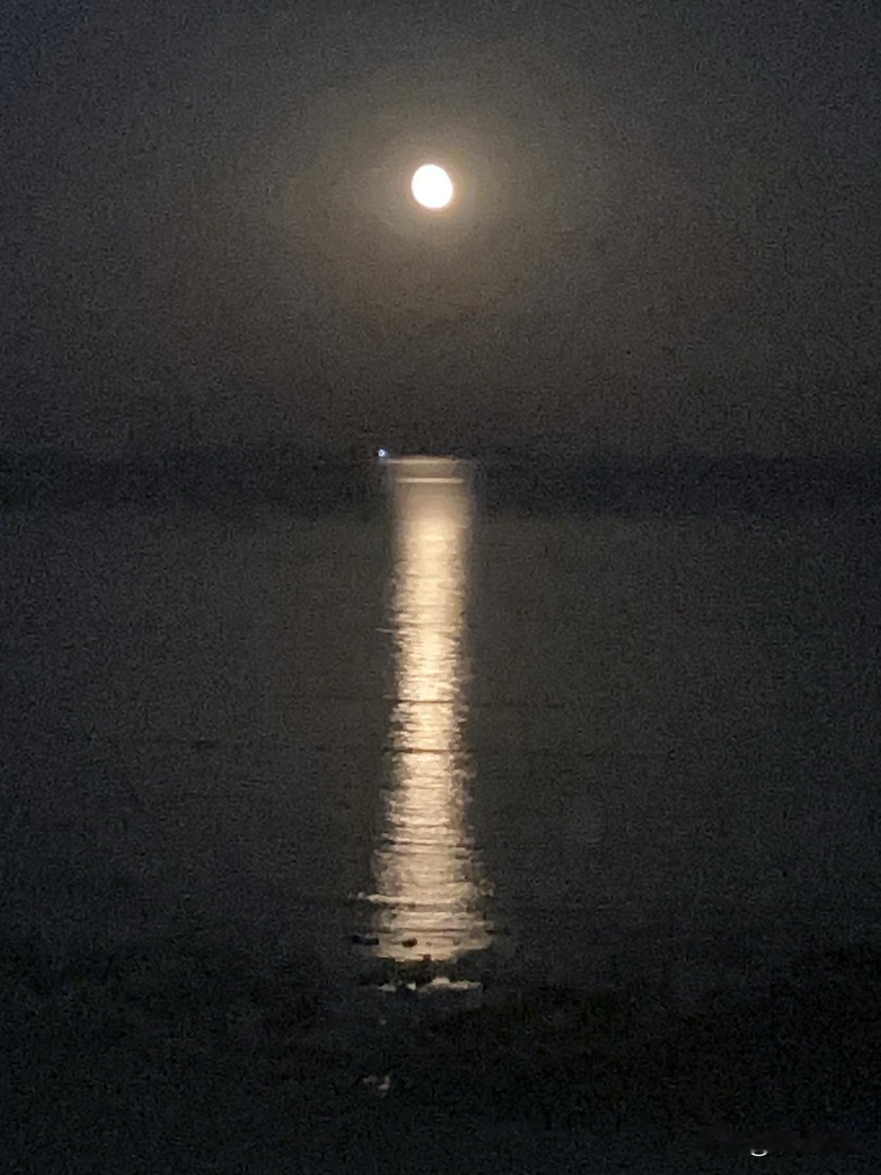 晨上高山观旭日
暮下低滩看升月