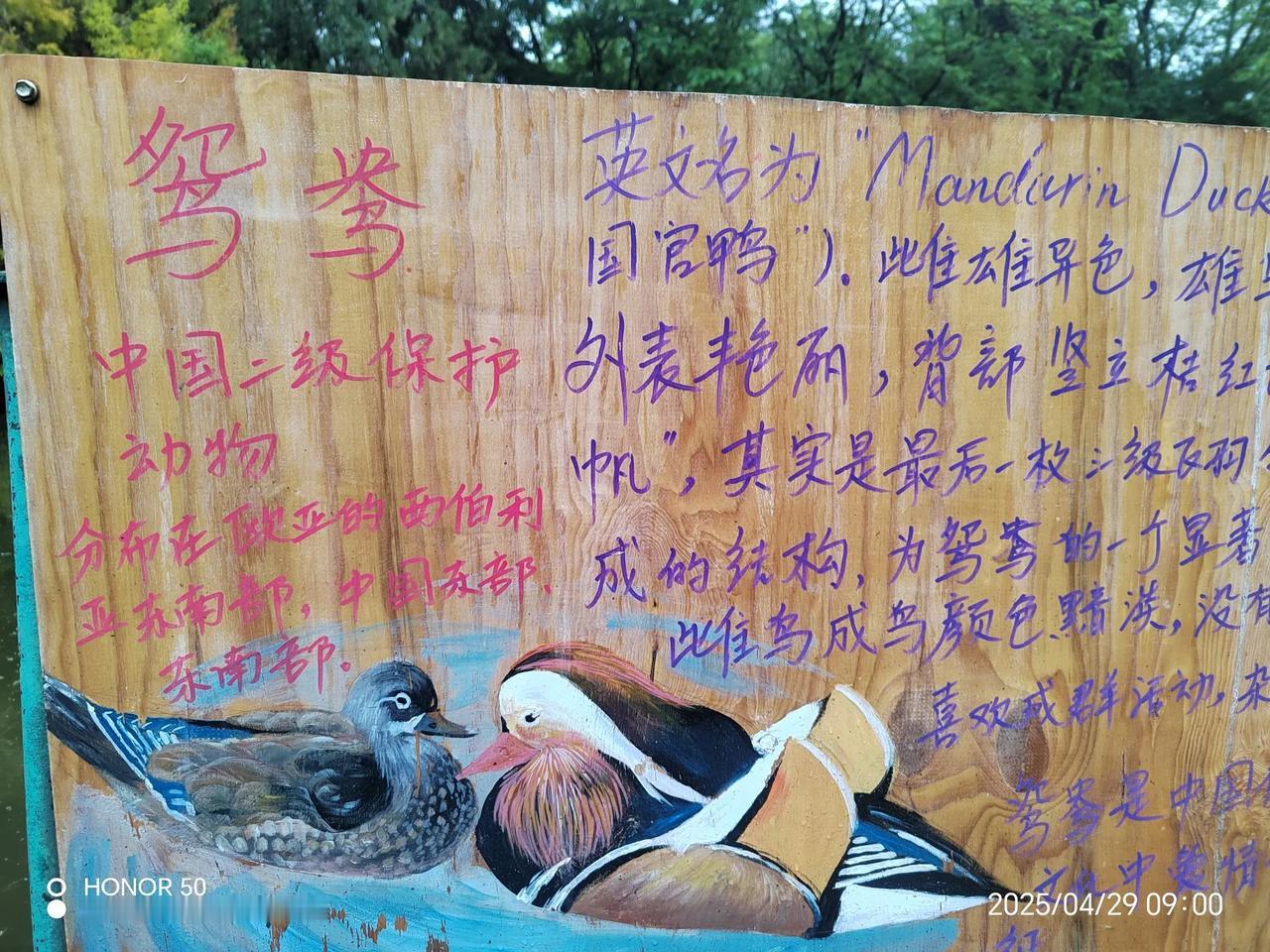 关注左方下三行文字的书写序列有什么讲究，学到了就珍惜；看穿了，就批判！