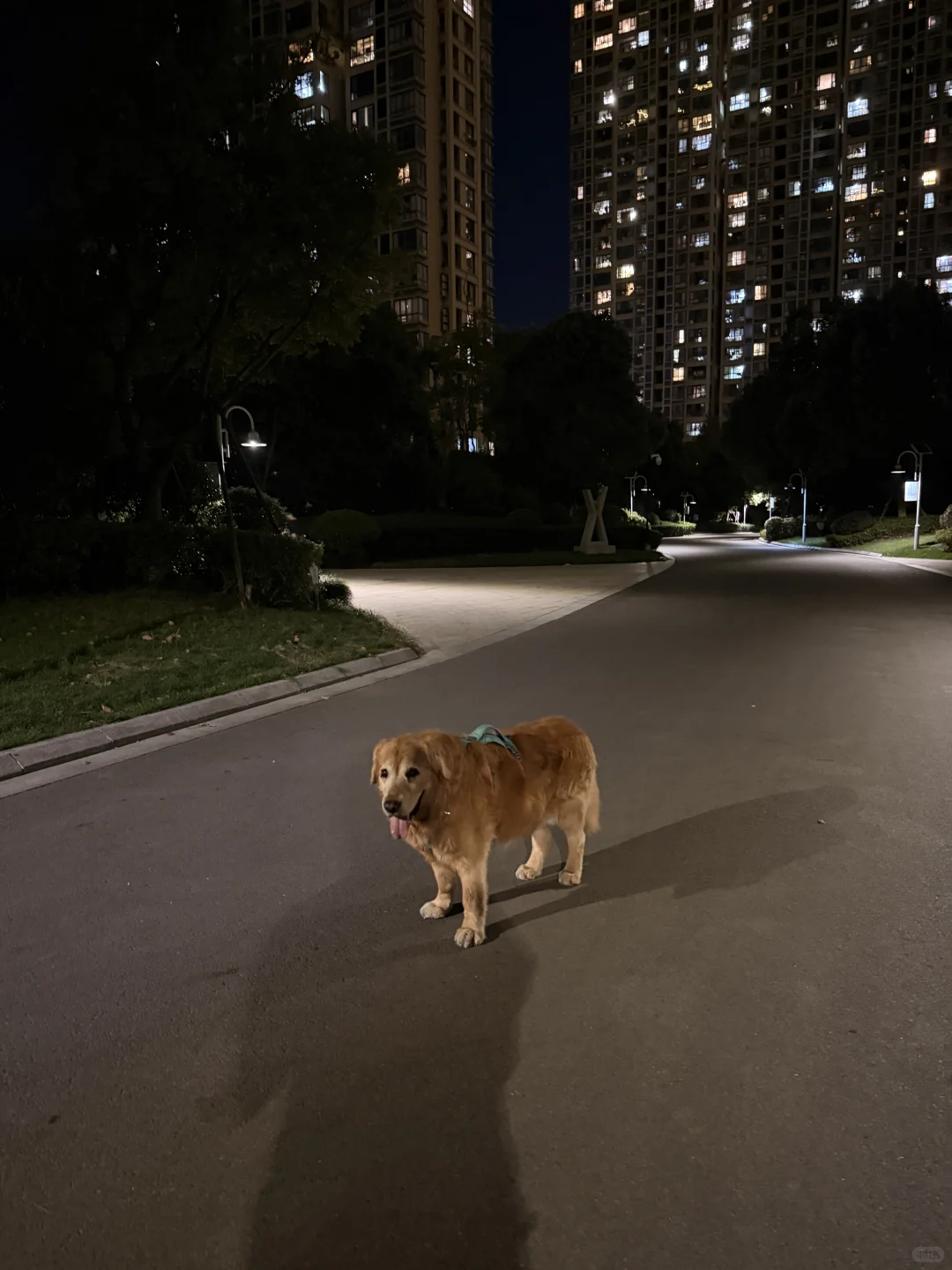 14岁正是和妈妈对着干的年纪🤨